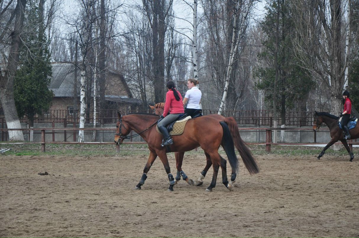 Olja Noname | Киев