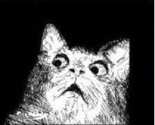 Оля Ламинская ♥♥♥♥♥ | Полоцк