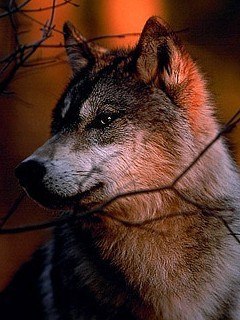 Серёга Managa Александрович | Новосибирск