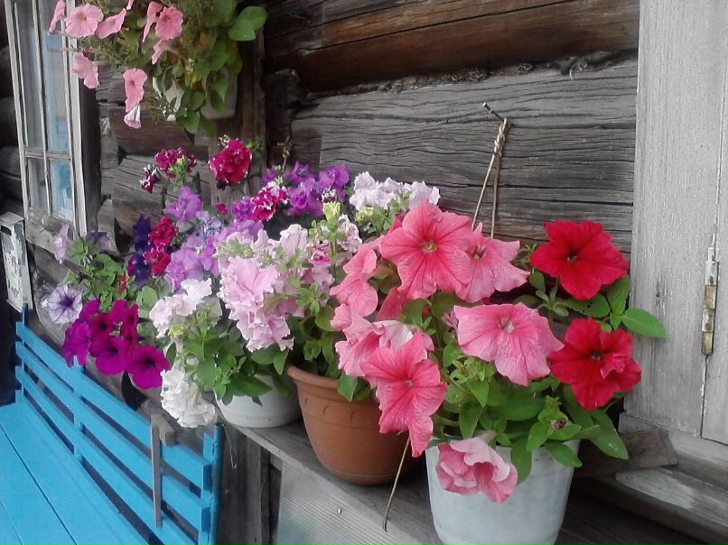 Татьяна Кулакова | Коноша