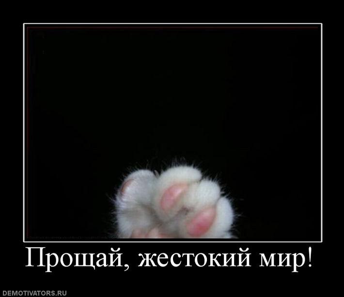 Лена Рыбакова | Ярославль