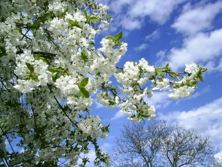 Оксана Юрьевна | Уфа