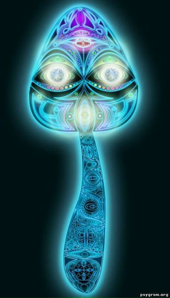 №20, Дима Asura №20, Дима Asura