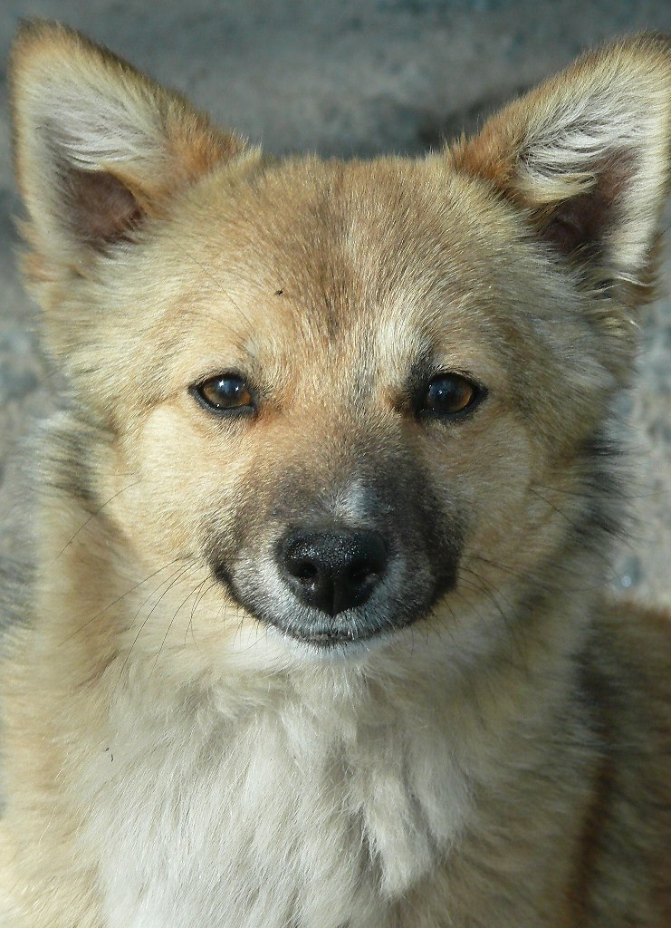 Марат Максименко | Гадяч