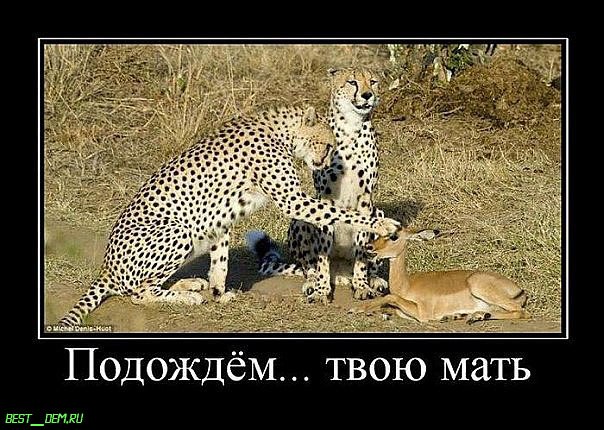 Анюта Назаренко | Киев