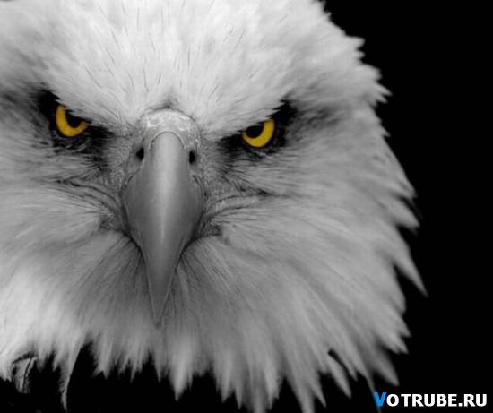 №18, Артём Александрович, Киров №18, Артём Александрович, Киров