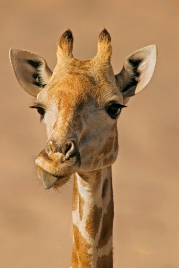 Andrey Vv | Москва