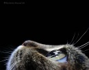 Фотография Коноплянов Иван