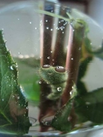 Asdasd Daslkd | Санкт-Петербург