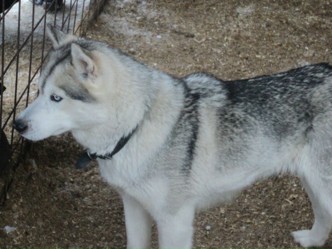 Мария Ягур (<*МуДрАя*>) | Калуга