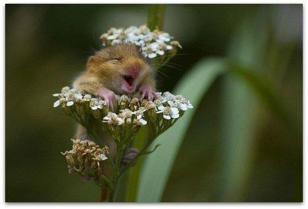 Евгения Лысикова | Москва