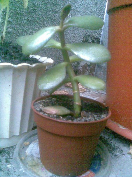 №59, Лена Лена, Киев №59, Лена Лена, Киев