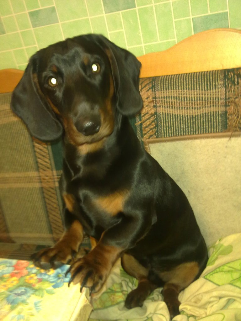 Евгения Сташкевич | Ижевск