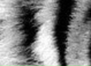 Марина Мельник | Киев