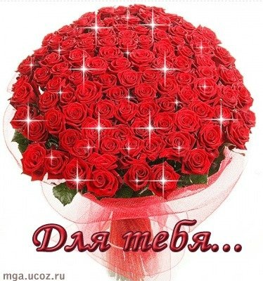 №19, Диана Бондаренко №19, Диана Бондаренко