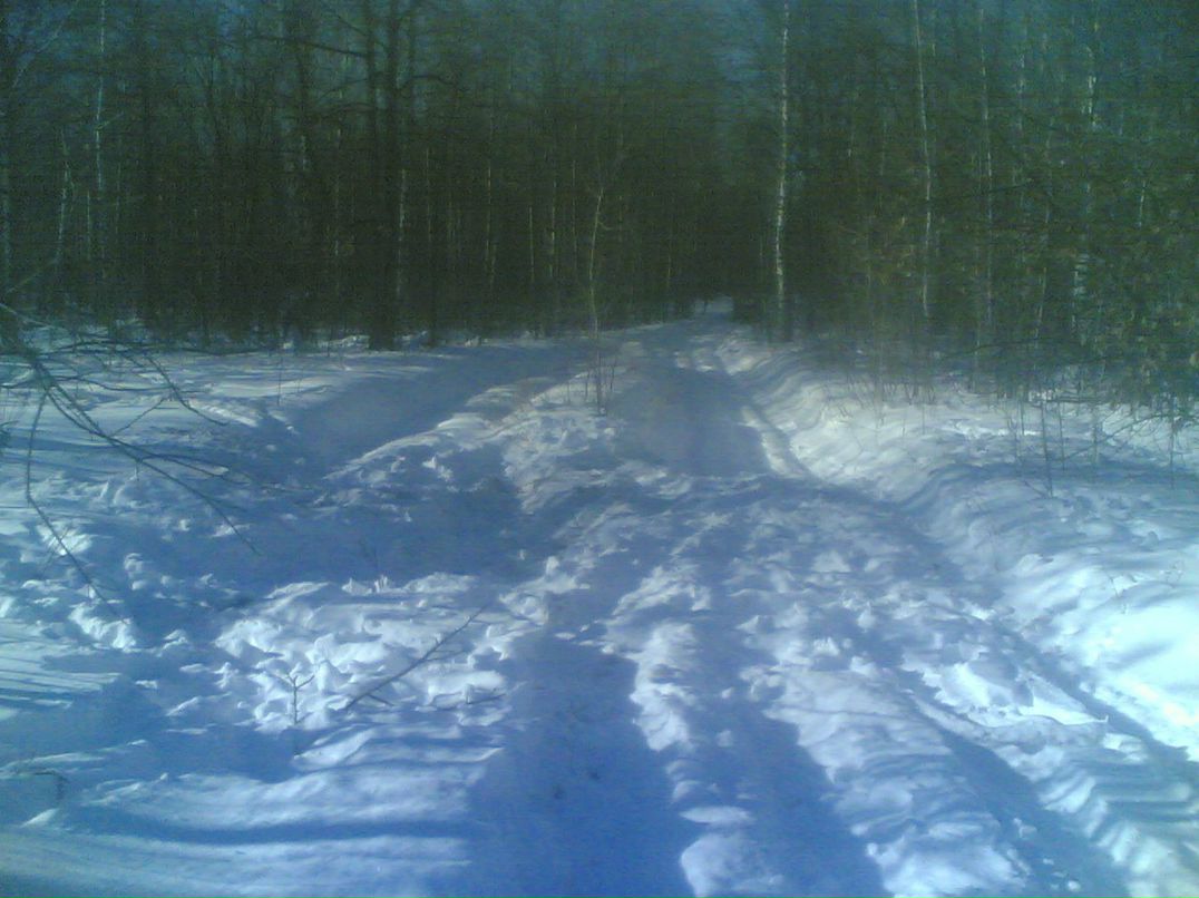 Артем Сергиенко Apelsin | Самара