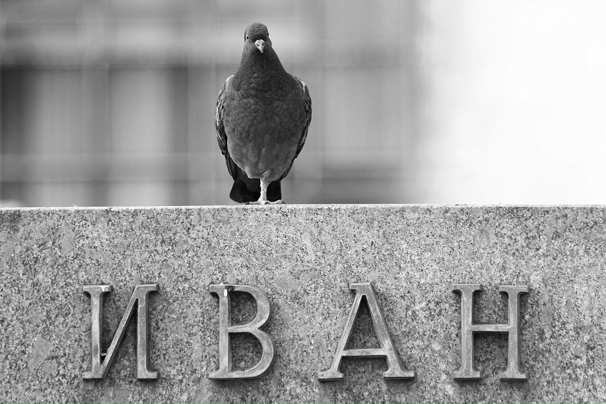 Серёжа Мусин | Ижевск