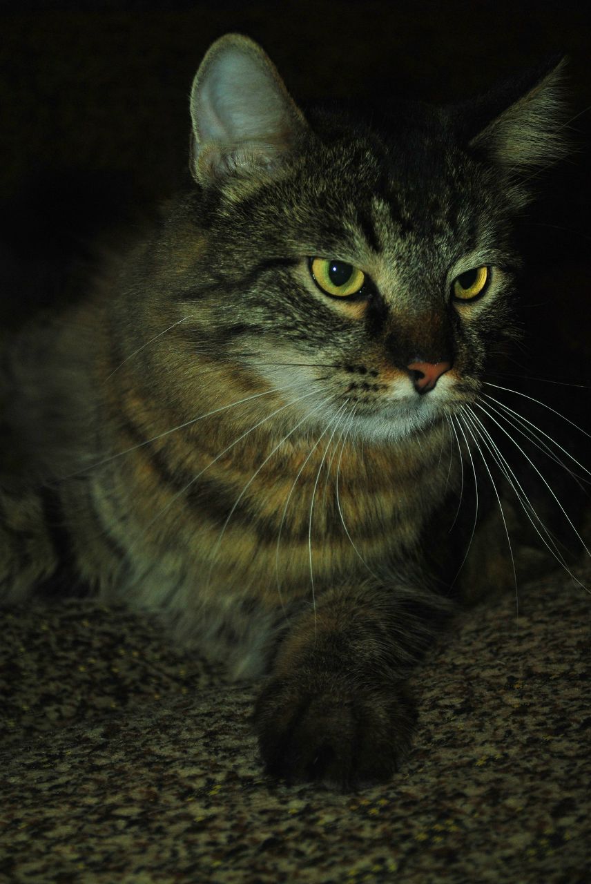 Александр Давыдов | Щекино