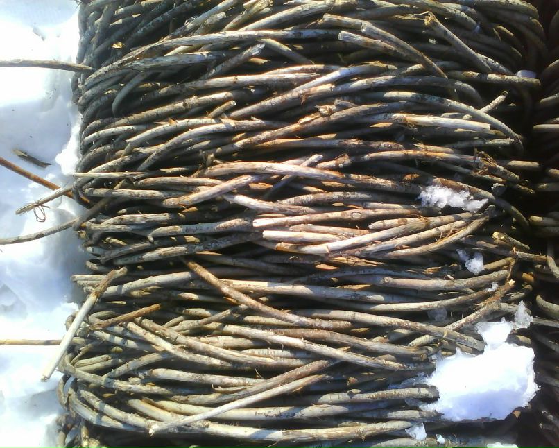 Александр Липатов | 