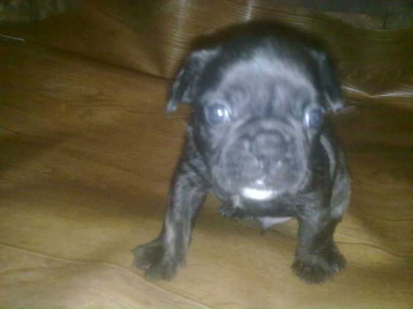 Андрей Шестаков | Калининград