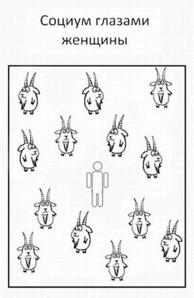 Руслан Шамилевич | 