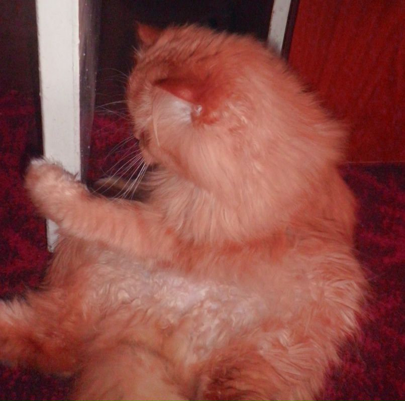 Лю Чвалюк D@ | Днепр (Днепропетровск)