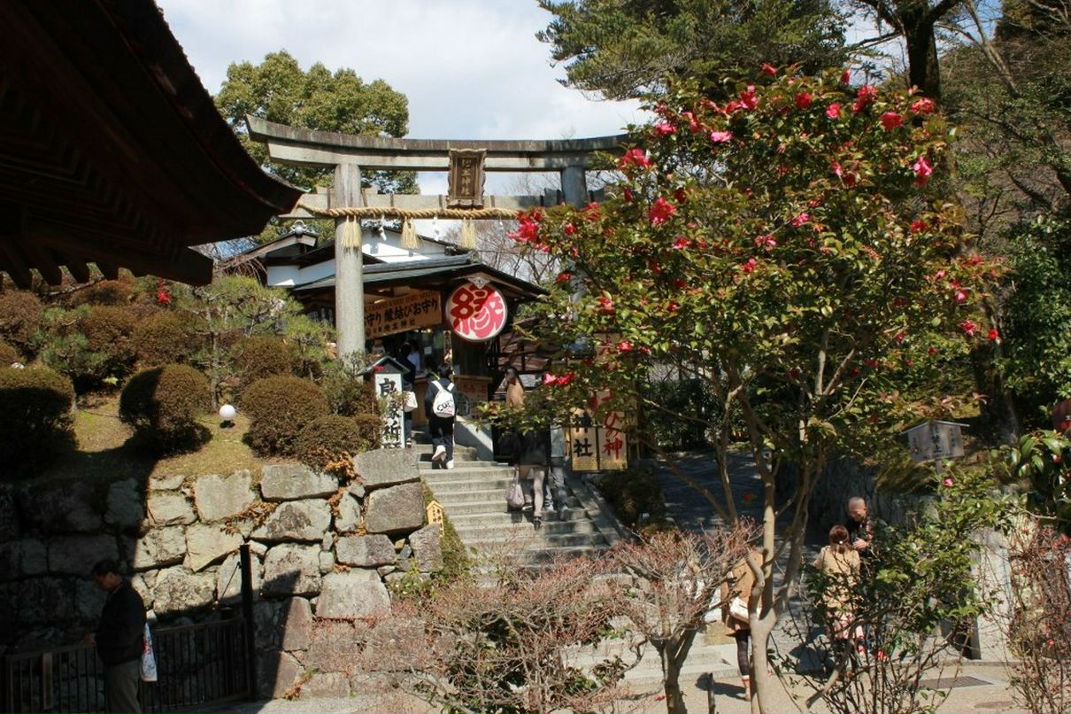 Oksana Pleshkova | New York City