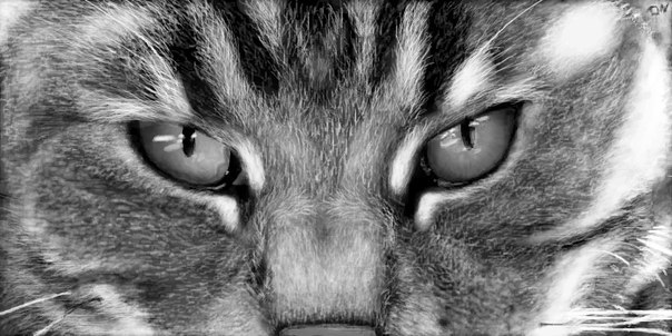 Елена Король | Запорожье