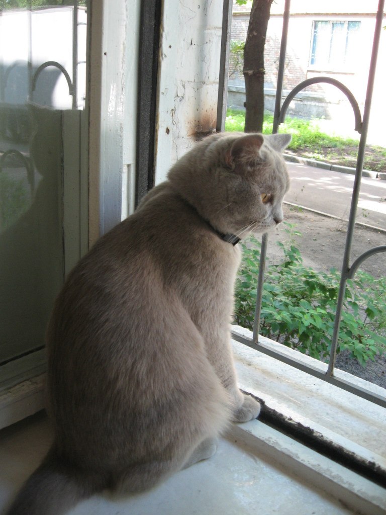 Ольга Карасюк Валериевна | Киев