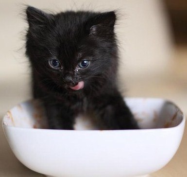 Юлия Такаяодна | Москва