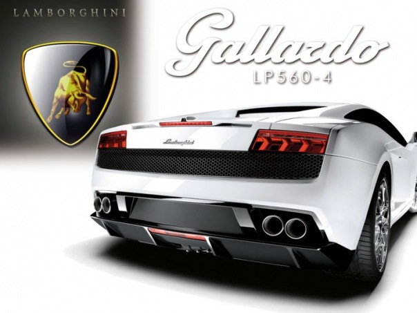 №169, Hamza Totti, Запорожье №169, Hamza Totti, Запорожье