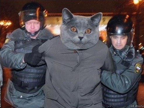 Адам Измайлов | Санкт-Петербург