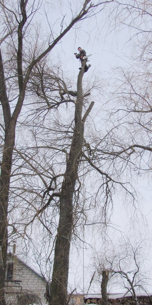 Алексей Дейнека щаслива апільсінка | 