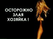 Фотография Света Баранова