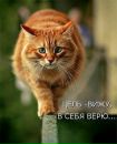 №30 Ольга Богун 23.02: профиль, фото, статус - ВКонтакте
