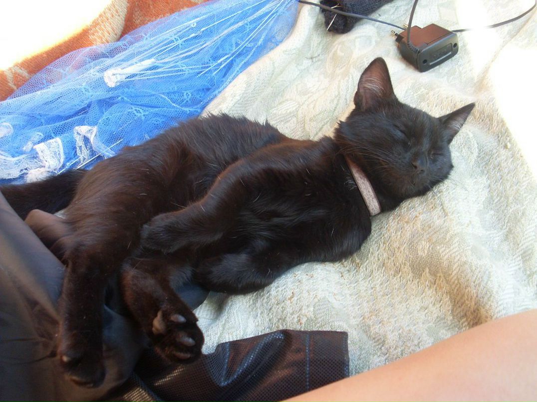 Нина Кучерявых | Москва