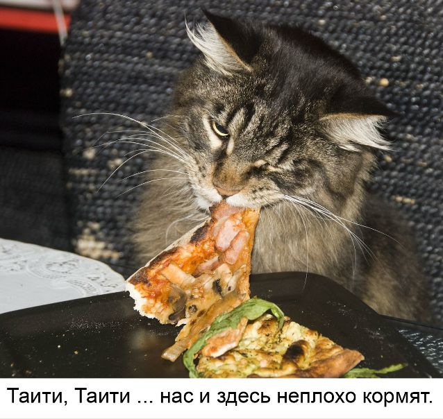 №81, Игорь Синицын, Москва №81, Игорь Синицын, Москва