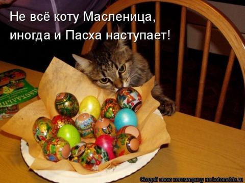 Кристина Бойкова Tisha | Санкт-Петербург