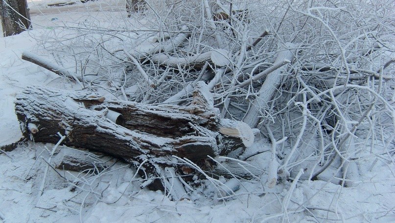 Мария Ахметянова | Челябинск