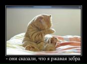 Фотография Екатерина Бакулина