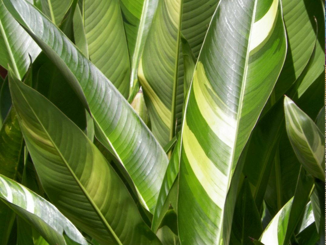 Andrej Maksimenko | Киев