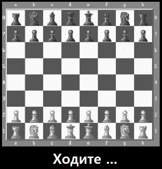 №79, Иван Орлов, 40 лет, Мурманск №79, Иван Орлов, 40 лет, Мурманск