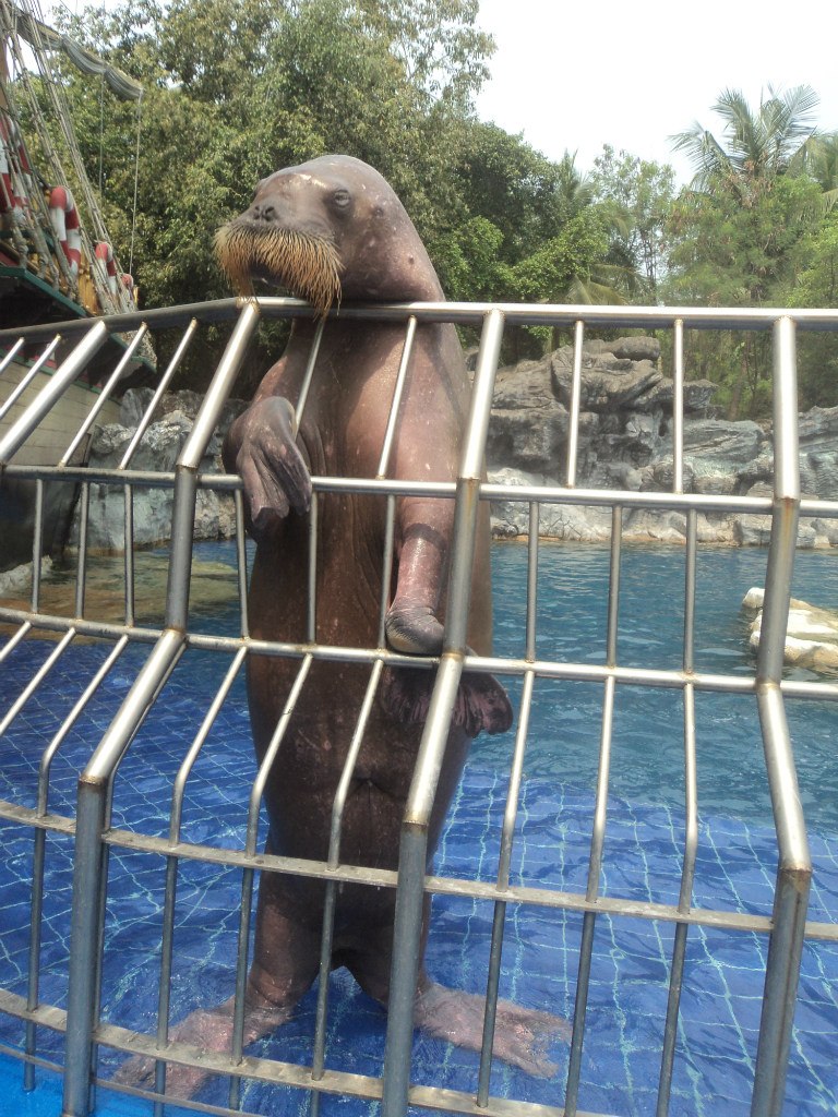 Наталья Дзюба | Архангельск