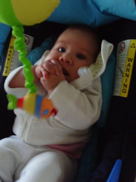 Ekaterina Zolotareva | León