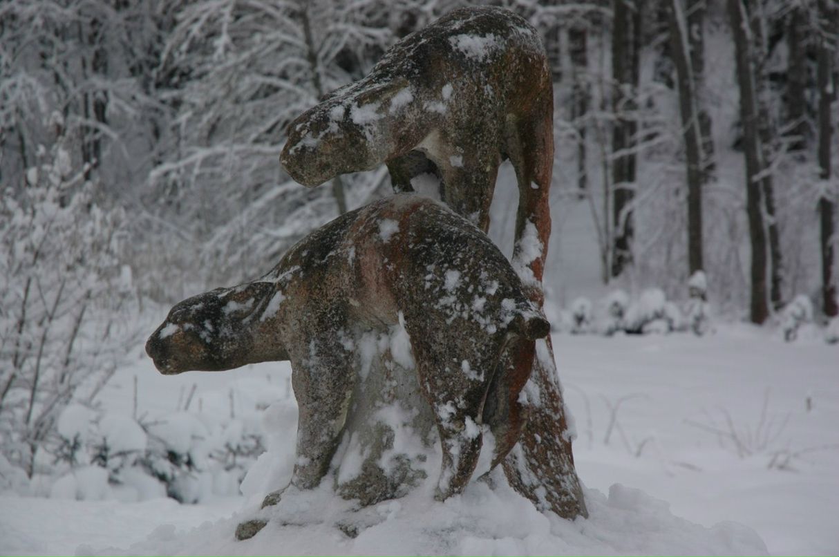 Елена Хван | 