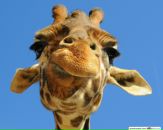 №5 Мария Лузянина 09.09: профиль, фото, статус - ВКонтакте
