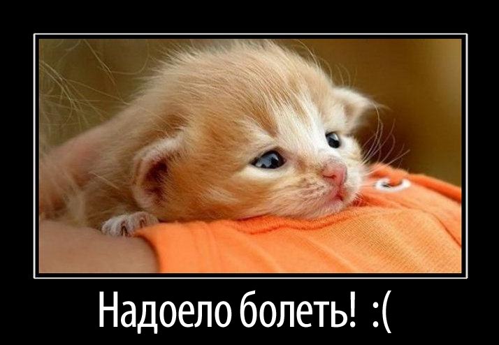 Оксана Мишнева | Санкт-Петербург