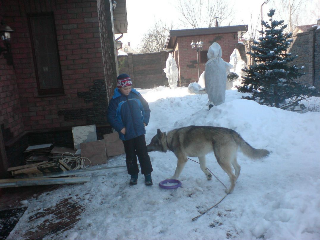 Алишер Муслимов | Санкт-Петербург