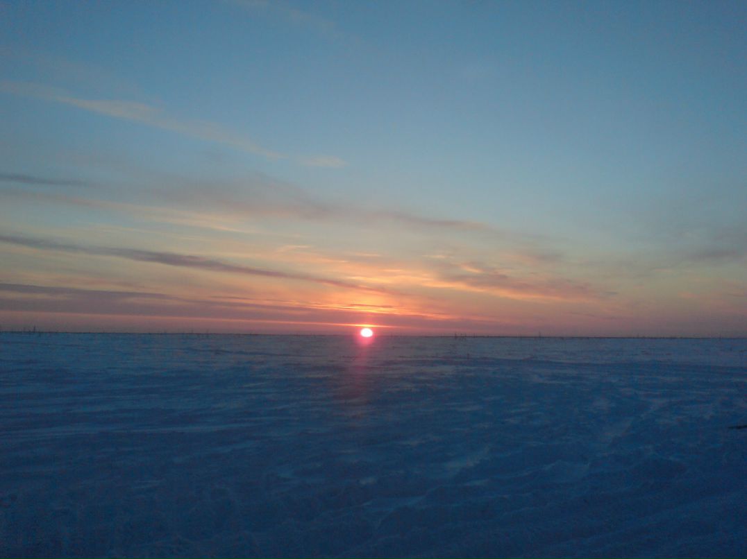 Илья Горшков | Курск