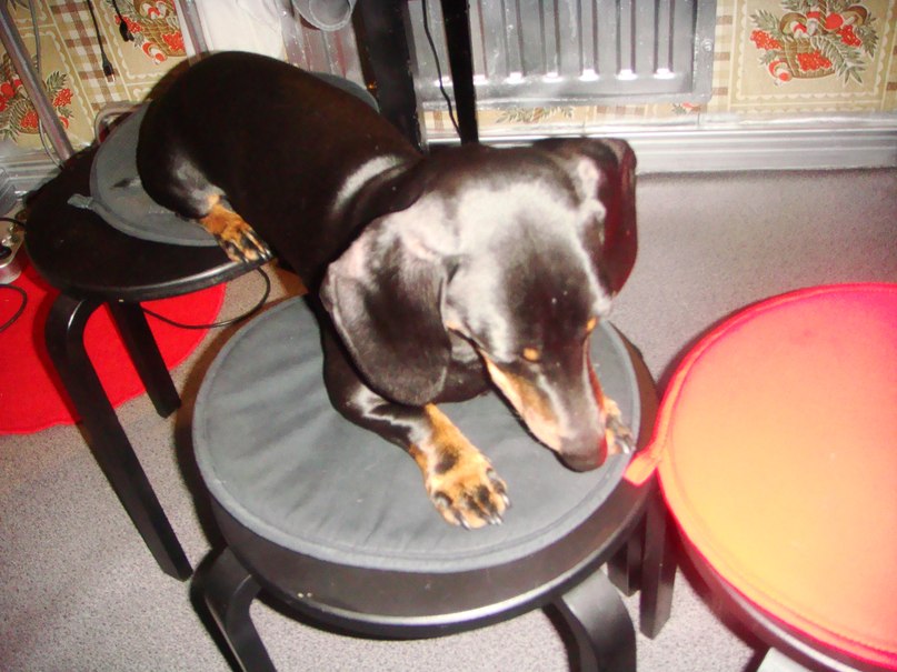 Маш Маша | Санкт-Петербург